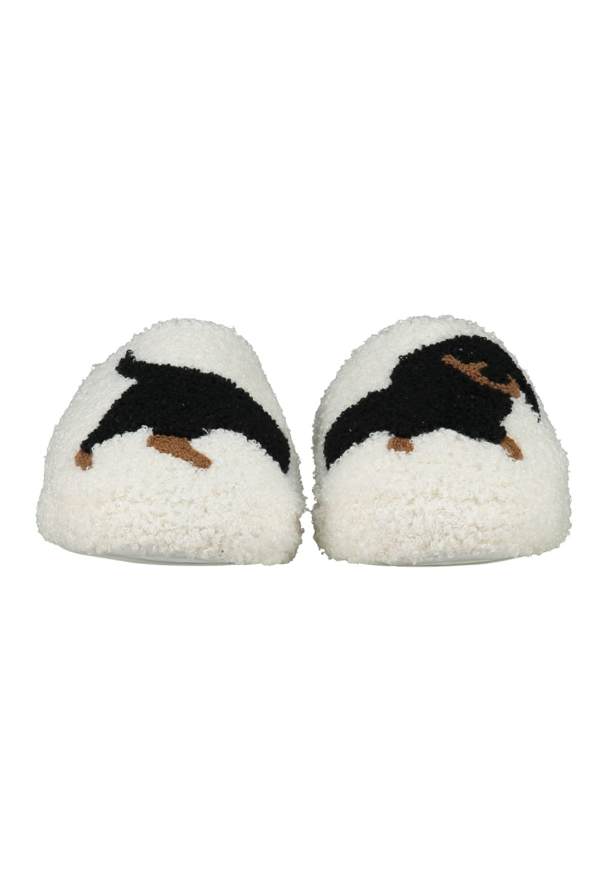 Schuhe Dackel
