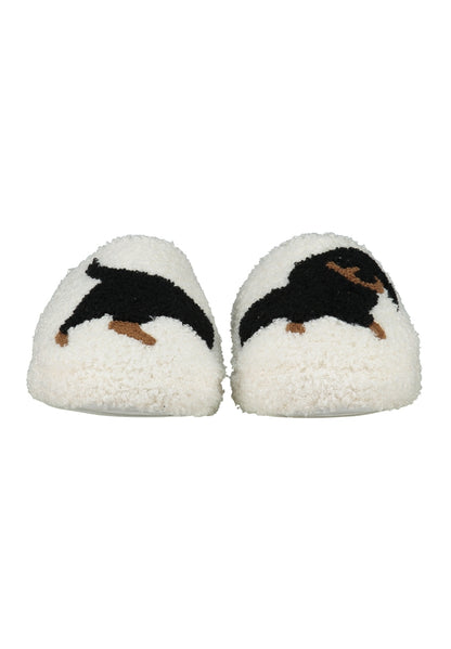 Schuhe Dackel