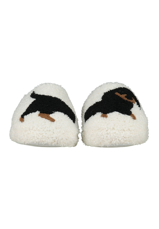 Schuhe Dackel