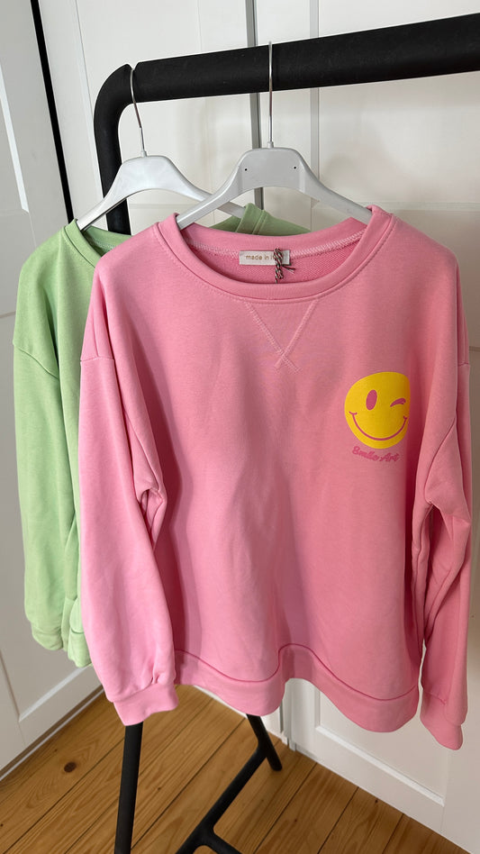 Sweatshirt why not